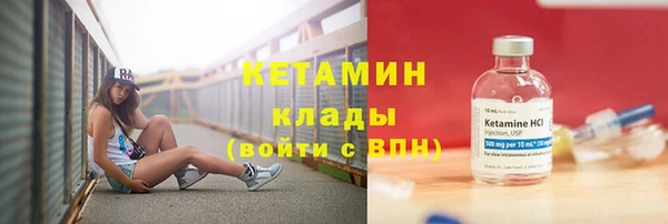 гидра Карпинск