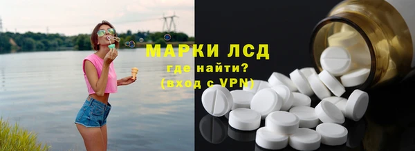 гидра Карпинск