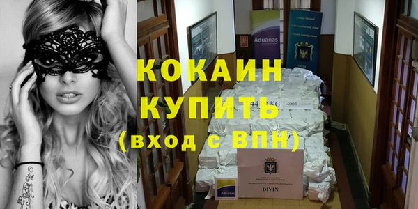 гидра Карпинск