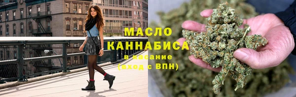 гидра Карпинск