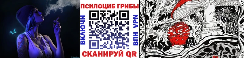 Купить где  Избербаш  Галлюциногенные грибы Magic Shrooms 